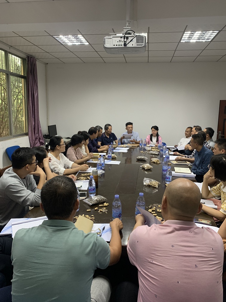 督导例会.jpg
